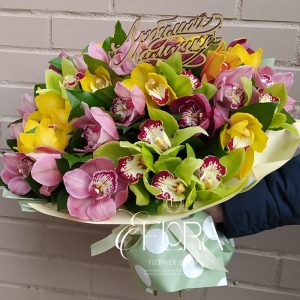 ЧАРУЮЩИЕ ОРХИДЕИ