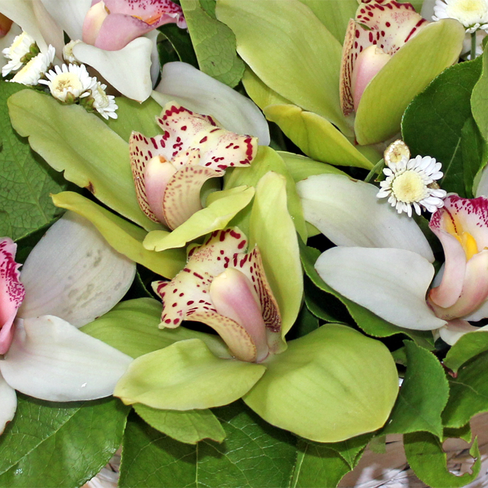 фото 3: Корзинка орхидей