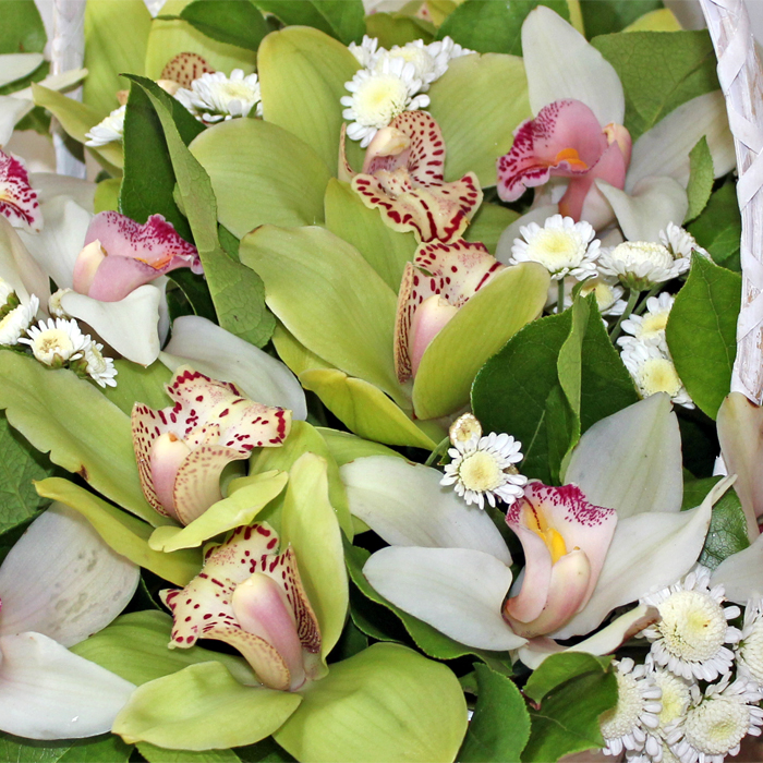 фото 2: Корзинка орхидей