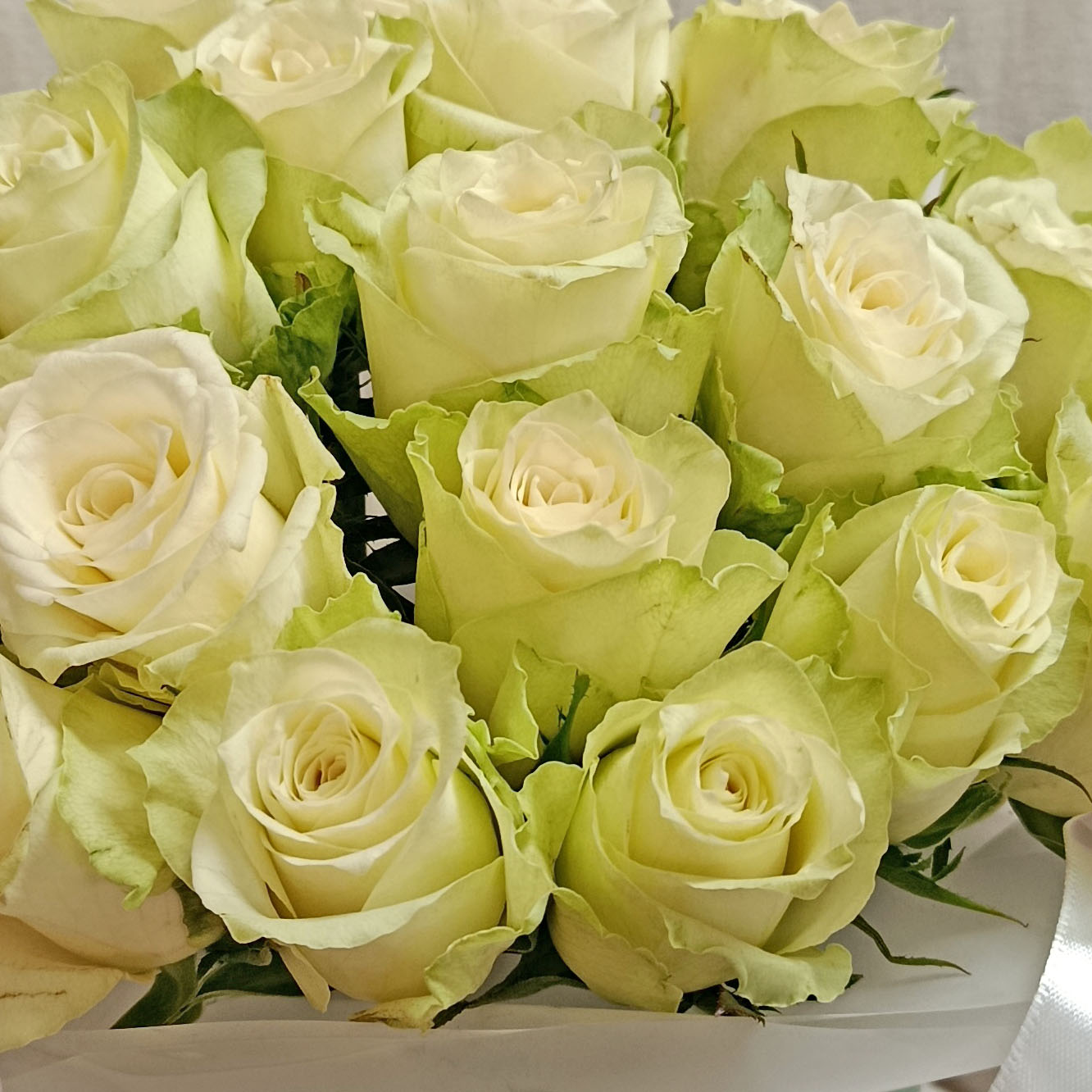 фото 2: Коробка