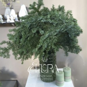 ВЕТКИ НОБИЛИСА 5 КГ