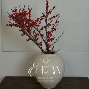 ВЕТКИ ИЛЕКСА ДЛЯ ДОМА